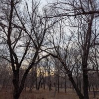 Ноябрь :: Андрей Хлопонин