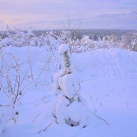 - :: Владимир Мигонькин