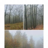 туманное :: Лера туманное :: Лера