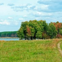 Караканский бор :: Дмитрий Конев Караканский бор :: Дмитрий Конев