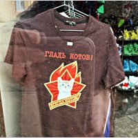 Сквозь стекло...:) :: Валерия Комова