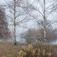 **** :: Владимир Безбородов