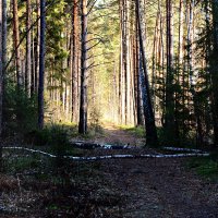 *** :: Александр 