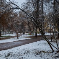 Первый снег в городе :: Александр Синдерёв