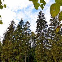 МИХАЙЛОВСКОЕ. :: Виктор Осипчук