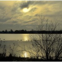 *** :: Aleksandr Gal