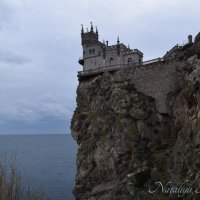 Природа Крыма :: Amazing Cosmea