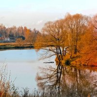 Ноябрь в Подмосковье, река Пахра :: Елена 