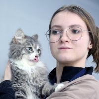 Кошки в Крокусе 29 ноября :: Михаил Бибичков