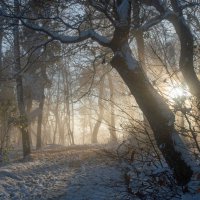 Вечер в горах........... :: Юрий Цыплятников