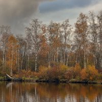 Река Глухарка :: skijumper Иванов