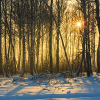 Зимний, морозный закат :: Сергей Винтовкин