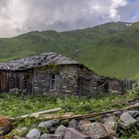 **** :: Алексей Соловьев