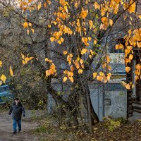 В переулке осень... :: Сергей Шатохин 
