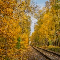 Дорога в осень... :: Владимир Жданов