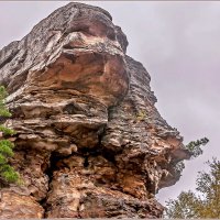 Каменный город (Чёртово Городище, Черепахи) :: Aquarius - Сергей