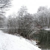Осень в ноябре. :: Милешкин Владимир Алексеевич 