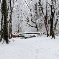 В городском парке. :: Милешкин Владимир Алексеевич 