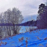 Зима на протоке Чеускина! :: Владимир 