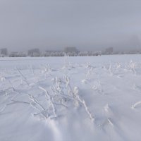 Мороз :: Anna Ivanova