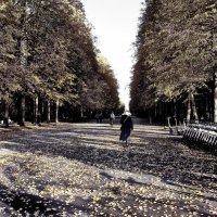 Элегия :: AleksSPb Лесниченко