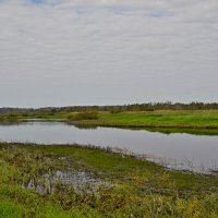 МИХАЙЛОВСКОЕ. :: Виктор Осипчук