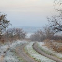 Первый заморозок... :: Надежда Куркина 