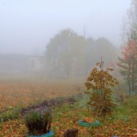 В тот год осенняя погода стояла долго на дворе.. :: Андрей Заломленков
