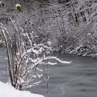 Первый снег :: Рита Симонова