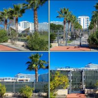 Адлер. Имеретинская (Олимпийская) набережная :: Нина Бутко Адлер. Имеретинская (Олимпийская) набережная :: Нина Бутко