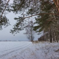 *** :: Андрей Андрианов *** :: Андрей Андрианов