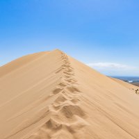 Казахстан.Алтын-Эмель :: Андрей Щукин