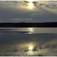 *** :: Aleksandr Gal