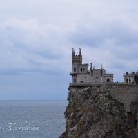 Природа Крыма :: Amazing Cosmea