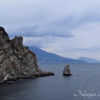Природа Крыма :: Amazing Cosmea