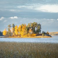 В парке Монрепо :: Nyusha .