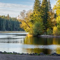 В парке Монрепо :: Nyusha .