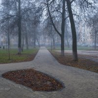 В туманном ноябре :: Александр Синдерёв