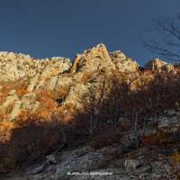 ДОЛИНА ПРИВИДЕНИЙ :: Sergey Bagach