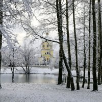 С белым снегом :: ZNatasha -