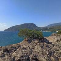 Вид с мыса Плака. Крым. :: Галина 