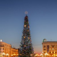 Главная новогодняя ёлка Хабаровского края :: Игорь Сарапулов