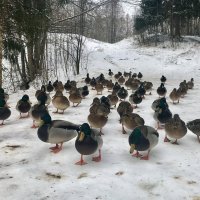 Делегация) :: Татьяна Делегация) :: Татьяна