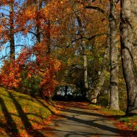 Осенний день – микстура для души :: Юрий. Шмаков