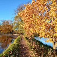 Тропинка в осень. :: Лия ☼