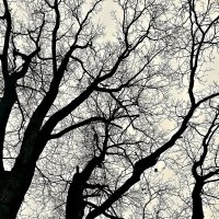 Ноябрь... :: Михаил Столяров