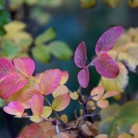 *** :: Павленко Михаил 