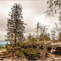 Каменный город (Чёртово Городище, Черепахи) :: Aquarius - Сергей