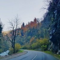 АБХАЗИЯ :: Tata Wolf