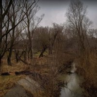 "Накануне календарной зимы"© :: Владимир Макаров